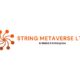 String Metaverse 80x80